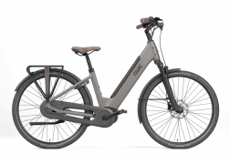 Qwic Elan Daily 2026